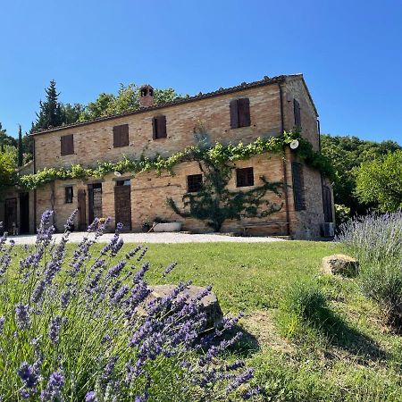 Bed and Breakfast L'Infinito Mombaroccio Zewnętrze zdjęcie