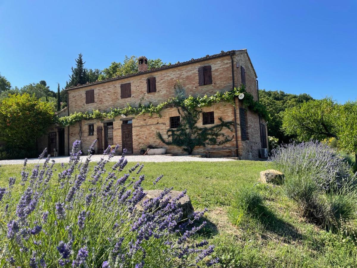 Bed and Breakfast L'Infinito Mombaroccio Zewnętrze zdjęcie
