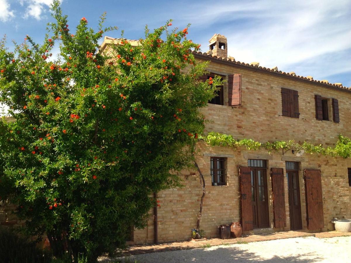 Bed and Breakfast L'Infinito Mombaroccio Zewnętrze zdjęcie